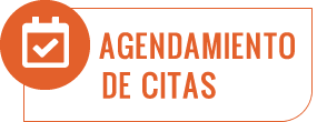 AGENDAMIENTO DE CITAS